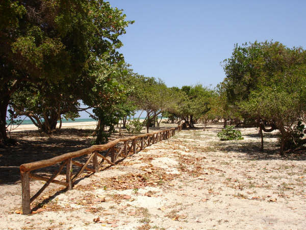 Terreno a Montecristi